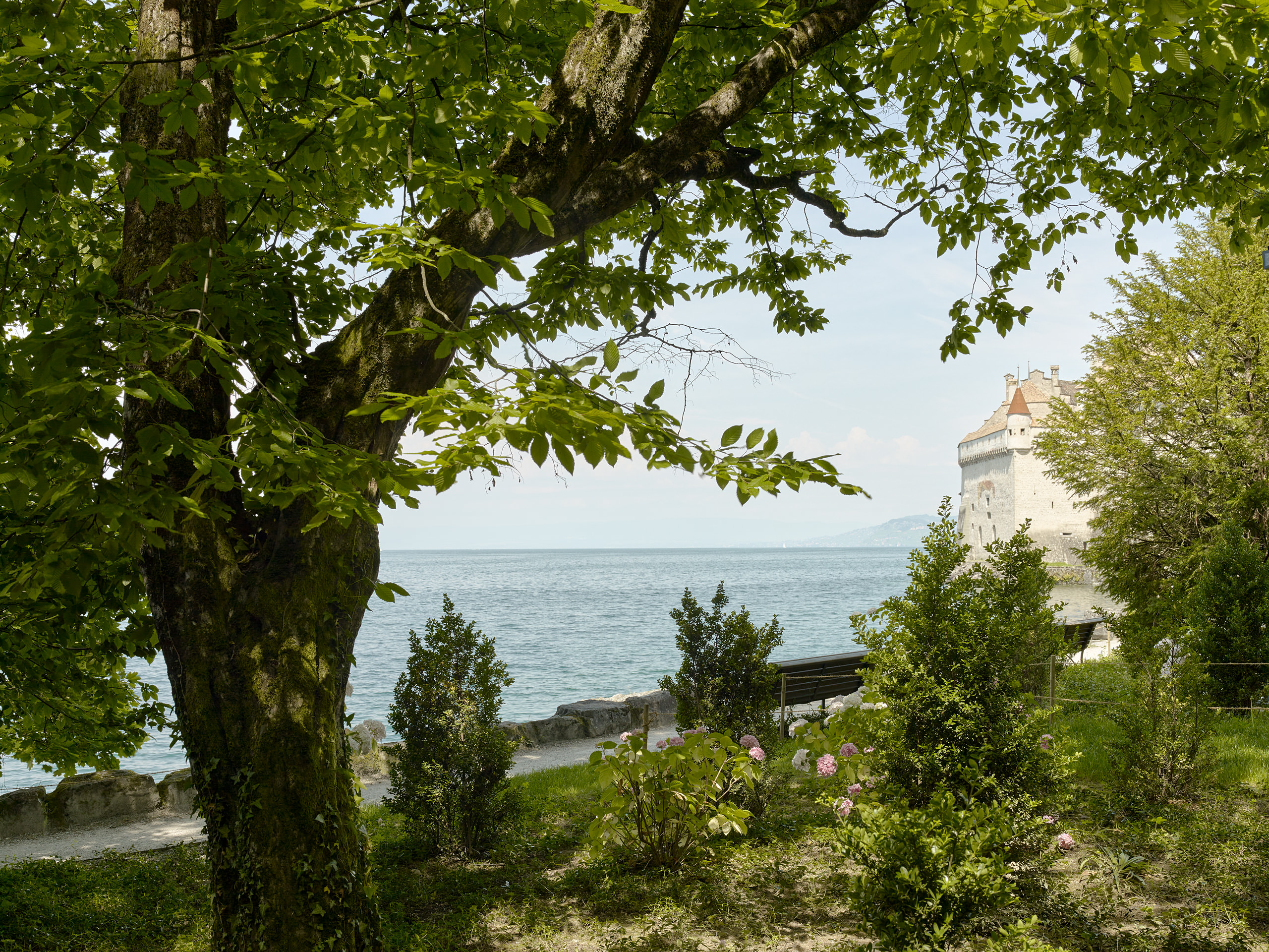 Ahp0013 alpa 103029 C